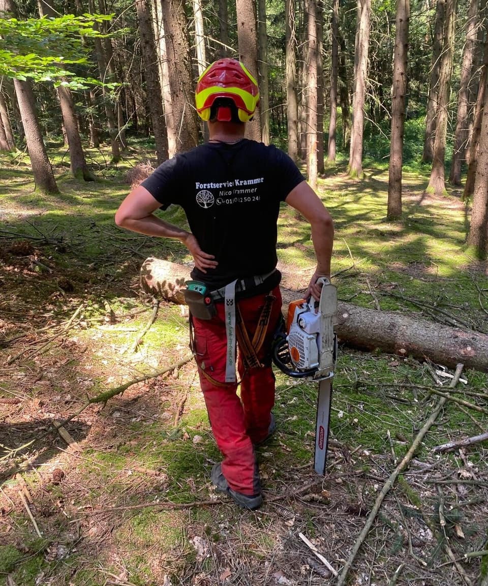 Mitarbeiter Forstservice Krammer mit Kettensaege im Wald – Forstservice-Krammer